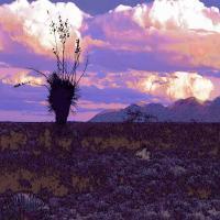 Monsoon Summer - Photography Mixed Media - By Dean Uhlinger, Surrealism Mixed Media Artist