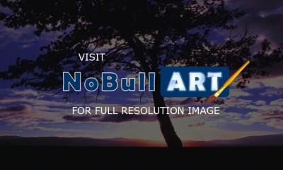 Western Exposures Gallery - Teton Sun Rise - Photography