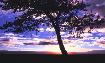 Western Exposures Gallery - Teton Sun Rise - Photography