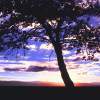 Teton Sun Rise - Photography Mixed Media - By Dean Uhlinger, Photorealism Mixed Media Artist