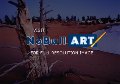 Western Exposures Gallery - Coral Dunes Dusk - Photography