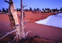 Western Exposures Gallery - Coral Dunes Dusk - Photography