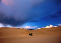 Western Exposures Gallery - Death Valley Winter - Photography