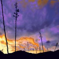 Borrego Desert Dawn - Photography Mixed Media - By Dean Uhlinger, Surrealism Mixed Media Artist