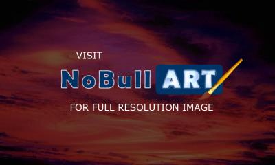 Western Exposures Gallery - New Mexico Sky - Photography