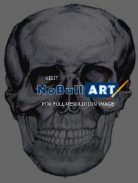 Drawings - Skullnod - Pencil