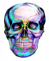 Skullerful - Digital Drawings - By Kevin Nodland, Expressionism Drawing Artist