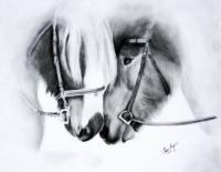 Affinity - Pencil  Bristol Board Drawings - By Chelsea Noyon, Realistic Drawing Artist