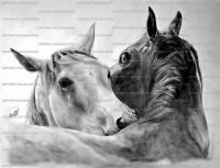 Mutual Devotion - Pencil  Bristol Board Drawings - By Chelsea Noyon, Realistic Drawing Artist