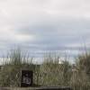 Untitled 2 - Digital Photo Photography - By Treasure Spear, Other Photography Artist
