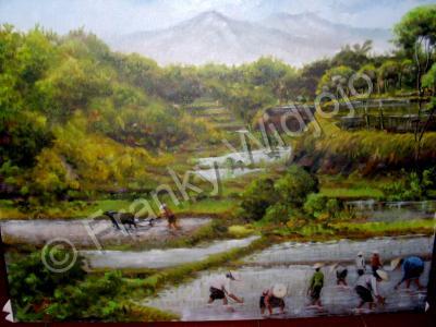 Java - Javanese Ricefields - Oil On Canvas