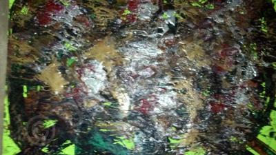 00041 - Galaxy Storm - Oil Andacrylics