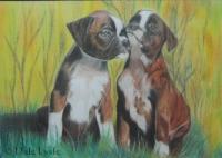 Boxer Buddies 2012 - Colour Pencil Drawings - By Dale Lysle, Colour Pencil Art Drawing Artist