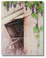 Still Lifes - Web Wood Wild Grapes - Watercolor