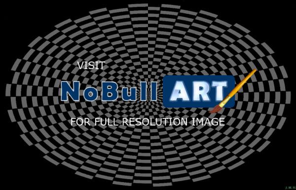 Optical Delusions - Chessboard Swirl - Digital