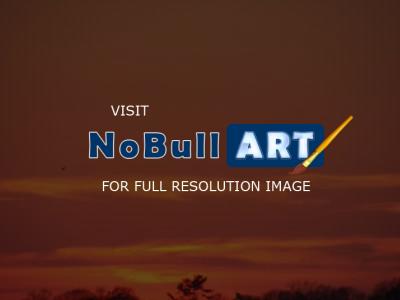 Nature Collection - Orange Sky - Digital