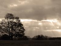 Sepia Sky - Digital Photography - By Heather Back, Nature Photography Artist