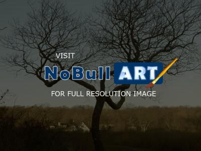 Nature Collection - Sun Tree - Digital