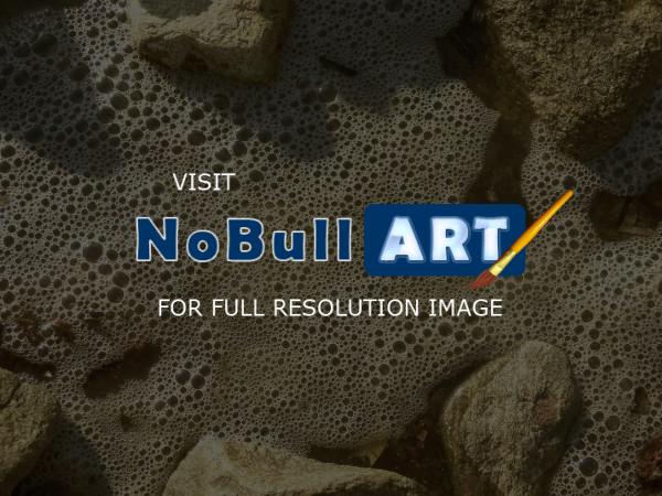 Nature Collection - Sea Bubbles - Digital