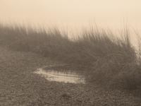 Rain And Sea - Digital Photography - By Heather Back, Nature Photography Artist