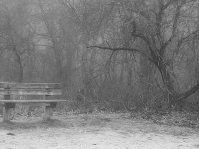 Nature Collection - Lonely Bench - Digital