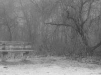 Lonely Bench - Digital Photography - By Heather Back, Nature Photography Artist