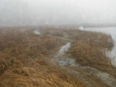 Nature Collection - Water Path - Digital