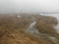 Water Path - Digital Photography - By Heather Back, Nature Photography Artist