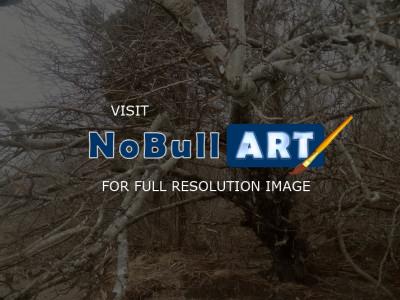 Nature Collection - Reaching Tree - Digital