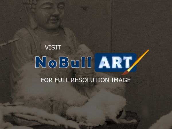 Nature Collection - Snow Buddha - Digital
