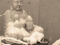 Snow Buddha - Digital Photography - By Heather Back, Nature Photography Artist