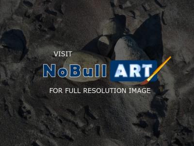 Nature Collection - Sun Rocks - Digital