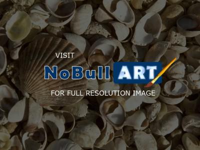 Nature Collection - Winter Shells - Digital