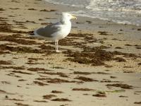 Quiet Wind - Digital Photography - By Heather Back, Nature Photography Artist