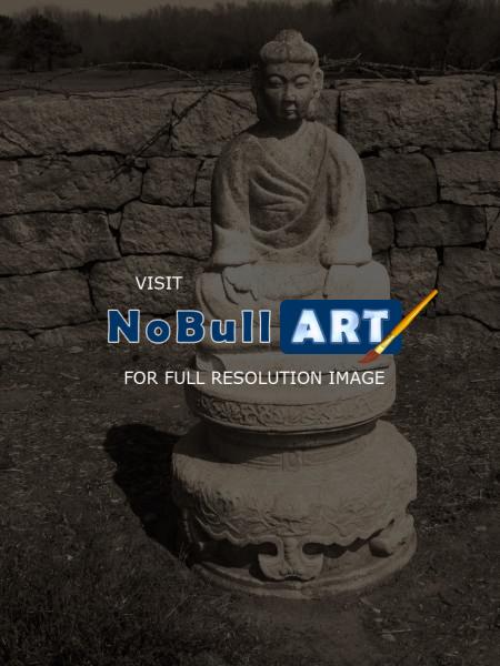 Nature Collection - Still Buddha - Digital