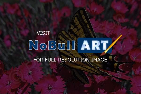 Butterflies - Swallowtail Garden - Digital
