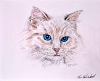 Blue - Watercolors  Color Pens Drawings - By Ron Kendall, Figurative Drawing Artist