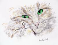Mom - Watercolors  Color Pens Drawings - By Ron Kendall, Realistic Drawing Artist