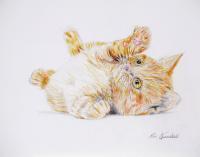 Happy Kitty - Color Pencils Drawings - By Ron Kendall, Realistic Drawing Artist