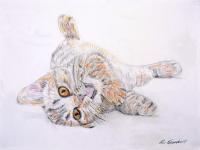 Lets Play - Color Pencils Drawings - By Ron Kendall, Realism Drawing Artist