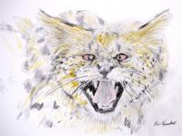 Nice Kitty Kitty - Color Pencils Drawings - By Ron Kendall, Realism Drawing Artist