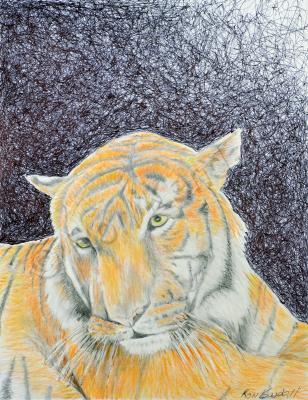 21St Century Art - Tiger - Color Pens Pencils