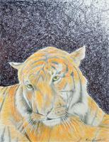 Tiger - Color Pens Pencils Drawings - By Ron Kendall, Realism Drawing Artist