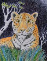 Jaguar - Color Pens Pencils Drawings - By Ron Kendall, Figurative Drawing Artist
