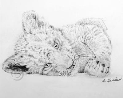 21St Century Art - Little Lion - Graphite Pencil