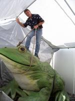 Frog 5X8Ft American Bullfrog - Epoxy On Foam Sculptures - By Chris Dixon, Realistic Sculpture Artist