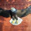 Victory Soaring Eagle - Cast Epoxy Sculptures - By Chris Dixon, Realistic Sculpture Artist