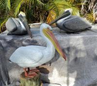 Birds - Life Size Pelican Sculptures - Cast Epoxy