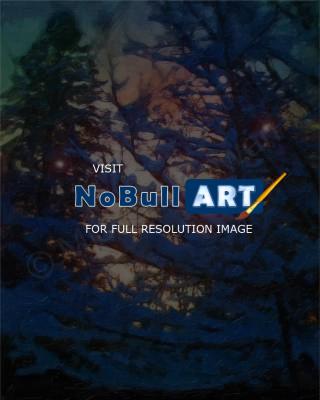 Digital Oil - Winters Splender - Photoshop