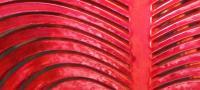Red Ribs - Digital Photography - By Patricia Blake, Abstract Photography Artist